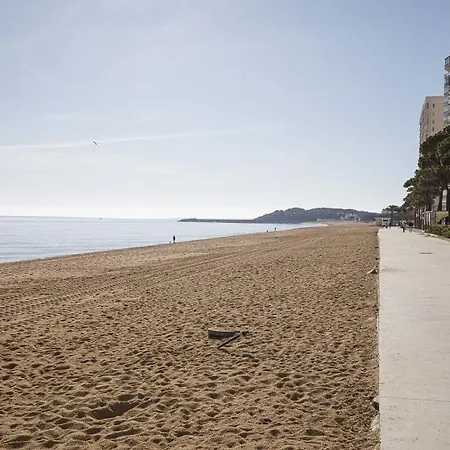 Bonito En Platja Daro *